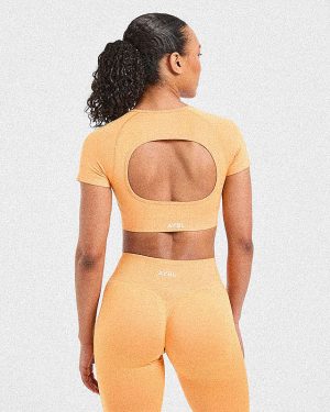 Adapt Seamless Crop Top - Bright Orange: The Ultimate Summer Workout Essential
