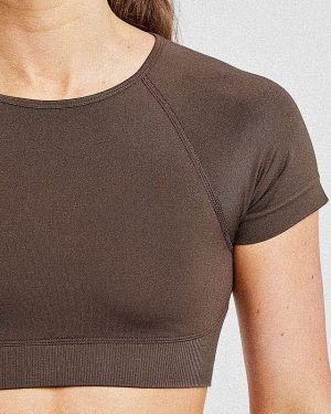 Adapt Seamless Crop Top - Brown: The Ultimate Performance Fit