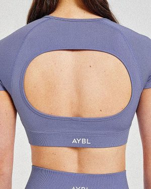 Adapt Seamless Crop Top - Iris Blue: The Ultimate Performance Fit