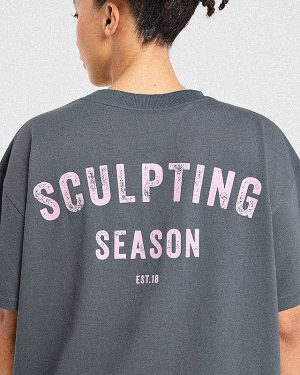 Sculpting Season Oversized T-Shirt: The Ultimate Grey/Pink Everyday Essential