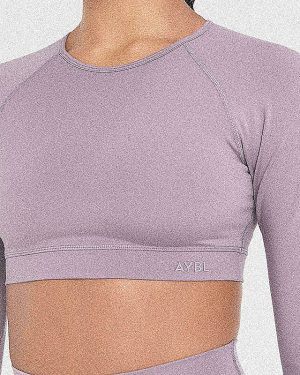 Staple Long Sleeve Crop Top - Mauve Purple: The Ultimate Sculpting Workout Essential